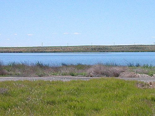 riparian meadow and Winchester Lake, Grant County, Washington