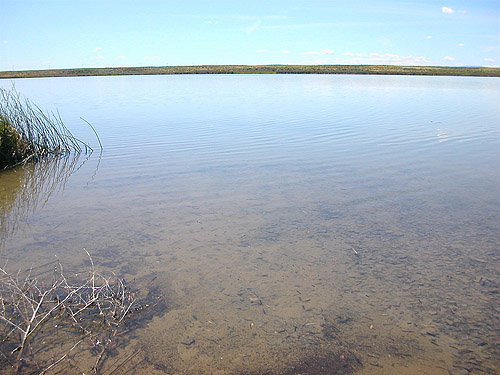 lake water, Winchester Lake, Grant County, Washington