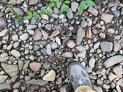 cobbles on bank of Winston Creek, Winston Creek Campground, south central Lewis County, Washington