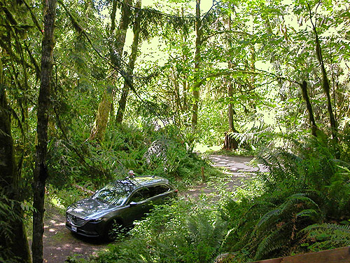 trailhead where we parked, Winston Creek Campground, south central Lewis County, Washington