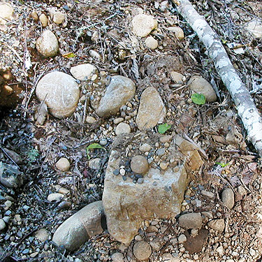 roadside rocks by entrance of Winston Creek Campground, south central Lewis County, Washington