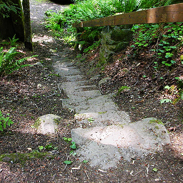 steps up to campsite, Winston Creek Campground, south central Lewis County, Washington