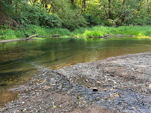 gravel bar on river, Wishkah Unit, Olympic Wildlife Area, Grays Harbor County, Washington