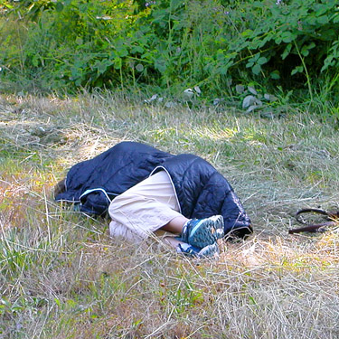 Kathy Whaley napping, Wishkah Unit, Olympic Wildlife Area, Grays Harbor County, Washington