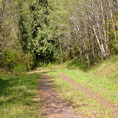 approaching planned collecting site along Sierra Pacific Road 530 SSW of Wildwood, Lewis County, Washington
