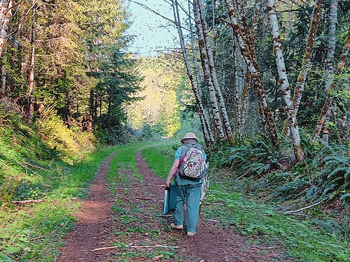 Rod Crawford hiking out along Sierra Pacific Road 530 SSW of Wildwood, Lewis County, Washington