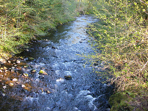 South Fork Chehalis river crossed by SP Road 500 SSW of Wildwood, Lewis County, Washington