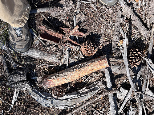 wood pieces on ground, Quartzite Mountain Trailhead NE of Chewelah, Washington