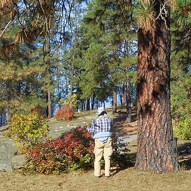 Laurel Ramseyer at NE Chewelah, Stevens County, Washington