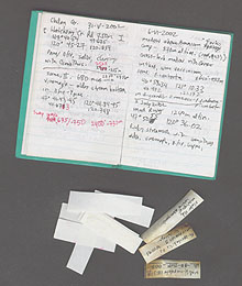Field notebook and labels for spider collecting