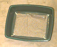 Screen sifter for spider collecting