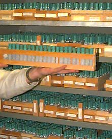 Spider collection vial storage system