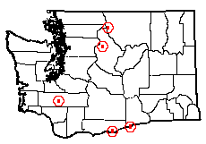 Washington map showing locality