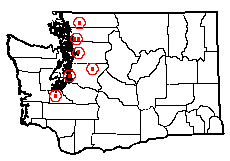 Washington map showing locality