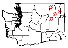 Washington map showing locality