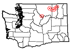 Washington map showing locality