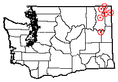 Washington map showing locality