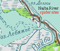 Topographic map of mouth of Naiba River, Sakhalin, showing 2001 spider sites