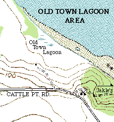 color topographic map of Old Town Lagoon area, San Juan Island