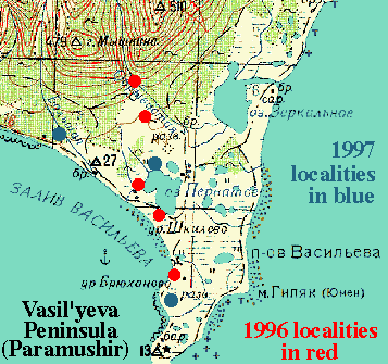 Reduced topographic map of Vasil'yeva Peninsula, Paramushir Island, with 1996 collecting localities