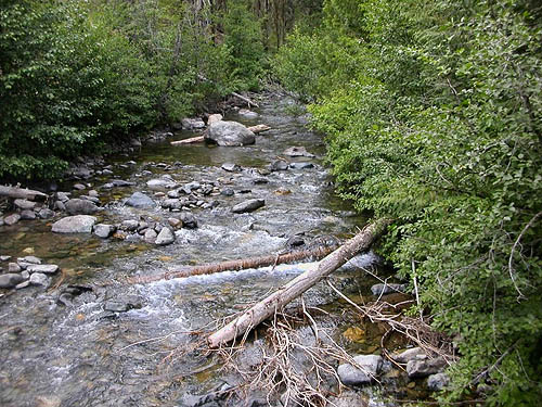 river from footbridge, Johnson Creek Trailhead, North Fork Teanaway River, Kittitas County, Washington
