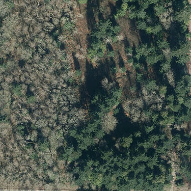 2012 aerial view of forest tract on Jefferson Point Road, Kingston, Kitsap County, Washington