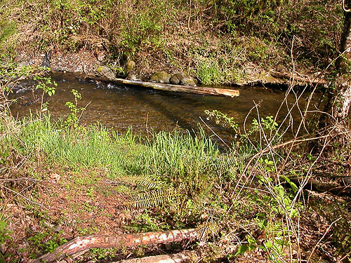 Silver Creek at Alger-Cain Lake Road, Skagit County, Washington