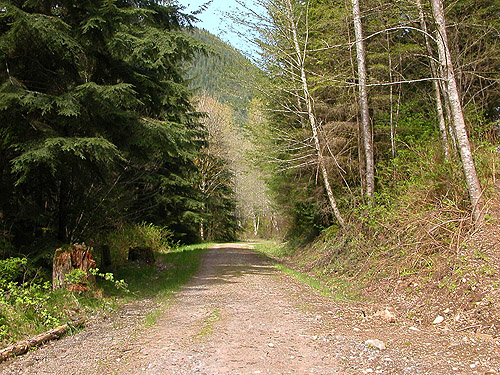 trail scene, Alger-Silver Creek segment of Pacific NW Trail, Skagit County, Washington