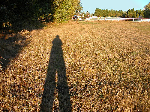 long shadow in big field, Allen Canyon Natural Area, near La Center, Clark County, Washington