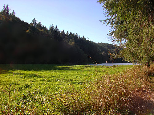 Riparian meadow and Douglas-fir by Mud Lake, Allen Canyon Natural Area, near La Center, Clark County, Washington