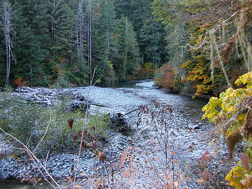 Bacon Creek about a mile from Hwy 20, NE of Marblemount, Skagit County, Washington