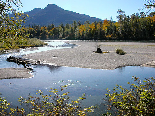 Skagit River, Skagit River 3.5 miles E of Rockport, Washington