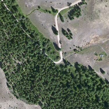 aerial photo of spider collecting site on Bear Creek, 8 miles west of Chelan, Washington