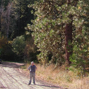 Rod Crawford at Bear Creek, 8 miles west of Chelan, Washington