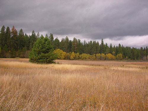 rain cloud coming, Bear Lake Park, Spokane County, Washington