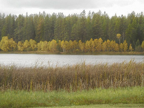 Laurel's second pine cone site from across lake, Bear Lake Park, Spokane County, Washington