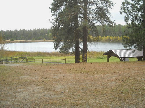 overview of main collecting site, Bear Lake Park, Spokane County, Washington