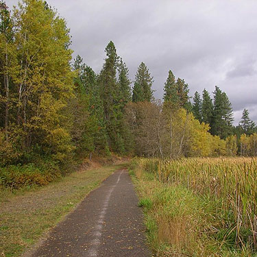 Trail goes around lake, Bear Lake Park, Spokane County, Washington