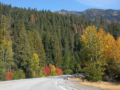 fall colors near White Pine Creek, Chelan County, Washington on 9 October 2017