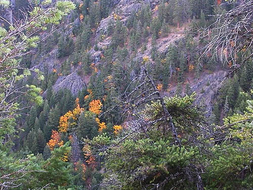 view across canyon of Big Creek, Kittitas County, Washington