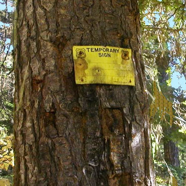 unhelpful sign at trail junction, canyon of Big Creek, Kittitas County, Washington