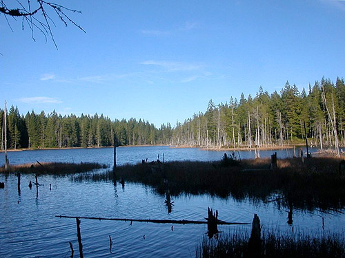 blue water, Big Pond, McCormick Woods, Kitsap County, Washington