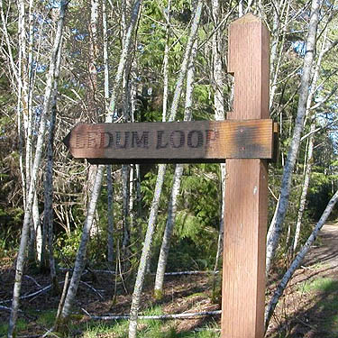 mis-named Ledum Loop, Big Pond Trail, McCormick Woods, Kitsap County, Washington