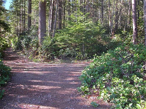 Big Pond Trail, McCormick Woods, Kitsap County, Washington