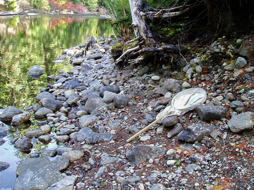 cobble bank of Icicle Creek near Blackpine Campground, Chelan County, Washington