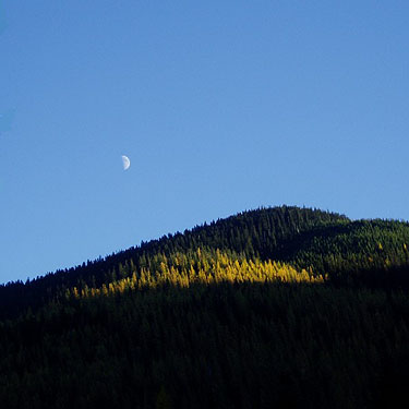 Last sun, first moon at Blackpine Campground, Chelan County, Washington