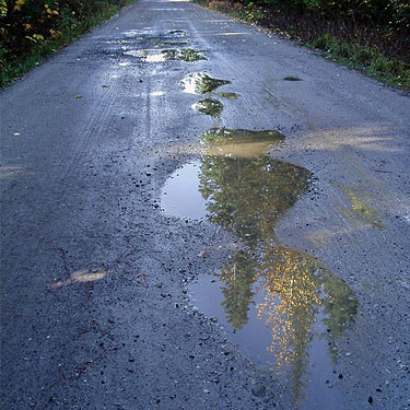 puddles in Icicle Creek Road near Blackpine Horse Camp, Chelan County, Washington