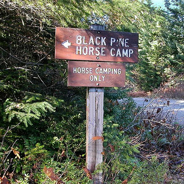 sign for Blackpine Horse Camp, Chelan County, Washington