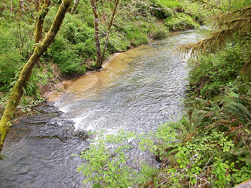 looking down creek from bridge, Brim Creek near Vader, Lewis County, Washington