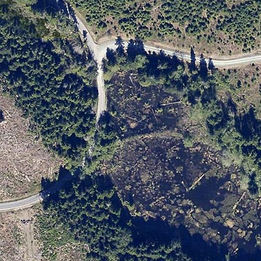 2013 aerial photo of collecting site E of Lake Cavanaugh, Skagit County, Washington